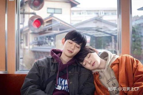 日剧双男主剧推荐甜剧,日剧双男主甜蜜爱情故事